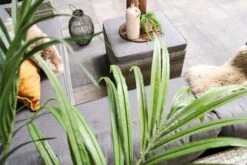 Fonteyn | Loungeset Connor | Melange 24 Fonteyn | Loungeset Connor | Melange -Tuinmeubel Winkel 1200x800 334