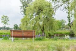 MaximaVida Tuinbank Budapest Oil 170 Cm - Uit Exclusief Mahoniehout 15 MaximaVida Tuinbank Budapest Oil 170 Cm - Uit Exclusief Mahoniehout -Tuinmeubel Winkel 1200x800 65